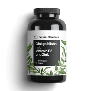 Ginkgo biloba mit Vitamin B5 und Zink, 365 Kapseln, vegan